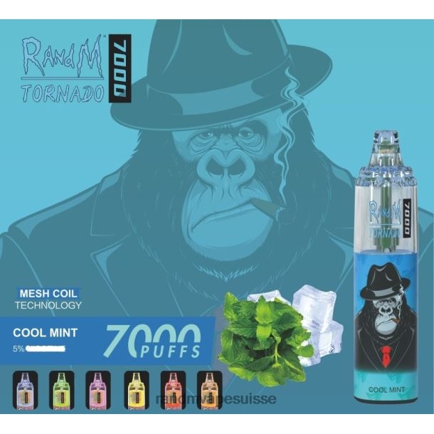 RandM Tornado Dispositif de vape de contrôle du flux d'air 7000 1 pièce menthe fraîche BXPBLD164 RandM Vape Avis