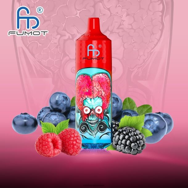 Fumot RandM Tornado Appareil de vape 9000 pro avec batterie et écran ejuice version 1 myrtille, framboise aigre BXPBLD191 RandM Vape Suisse