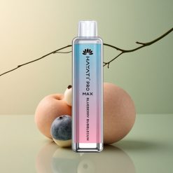 Hayati Pro Max 4000 Puffs Chewing-gum Myrtille Rechargeable 1400mAh Dual Mesh Coil