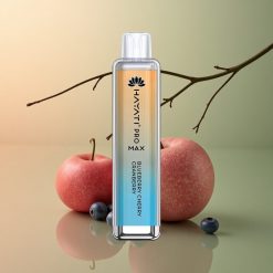 Hayati Pro Max 4000 Puffs Myrtille Cerise Canneberge Rechargeable 1400mAh Dual Mesh