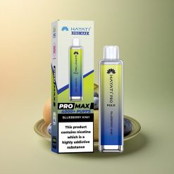 Hayati Pro Max 4000 Puffs Myrtille Kiwi Rechargeable 1400mAh Dual Mesh