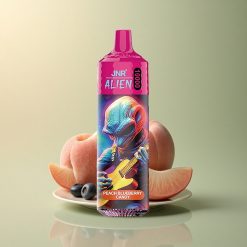 JNR Alien 10000 Bonbon Pêche Myrtille LED RGB 850mAh