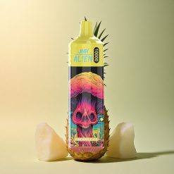 JNR Alien 10000 Glace Ananas 850mAh LED