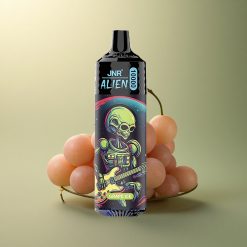 JNR Alien 10000 Glace de Raisin 850mAh 1.2Ohm