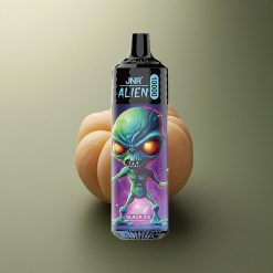 JNR Alien 10000 Glace Noire 850mAh