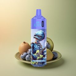 JNR Alien 10000 Kiwi Myrtille 850mAh 20ml