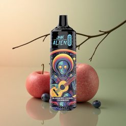 JNR Alien 10000 Myrtille Cerise Canneberge 850mAh LED