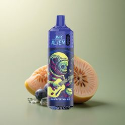 JNR Alien 10000 Myrtille Sur Glace 850mAh