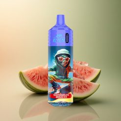 JNR Alien 10000 Pastèque Brazz Glace 850mAh