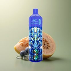 JNR Alien Max 18000 Myrtille Glacée - Double Mesh & 850mAh