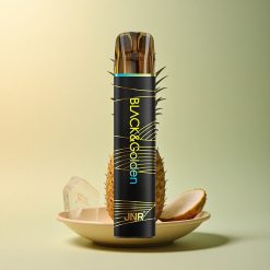 JNR Black&Golden 600+200 Ananas Glace 550mAh 2ml