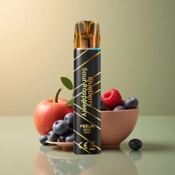 JNR Black&Golden 600+200 Framboise Acidulée Myrtille 550mAh 2ml Nicotine 2%