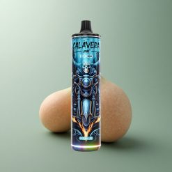 JNR Calavera 11000 Monsieur Bleu avec Port Type-C et Batterie 850 mAh