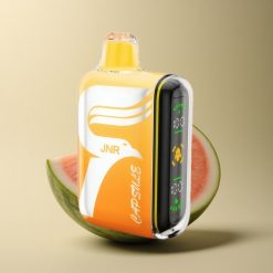 JNR Capsule 15000 Pastèque Irchee Dual Mesh Coil 20ml 850mAh