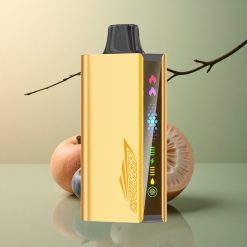 JNR Cruiser 12000 Explosion de Myrtille 3500 mAh Dual Mesh