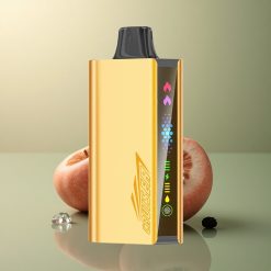 JNR Cruiser 12000 Glace Mûre Aluminium 3500 mAh