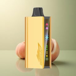 JNR Cruiser 12000 Glace Pêche Aluminium 3500mAh Dual Mesh