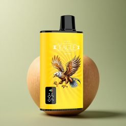 JNR EAGLE Smart 23000 Double Pomme Écran Numérique 750mAh