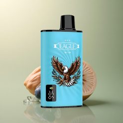 JNR EAGLE Smart 23000 Glace Myrtille Numérique 750mAh 2% Nicotine