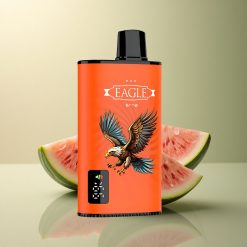 JNR EAGLE Smart 23000 Pastèque Glacée - 750mAh - 2% Nicotine