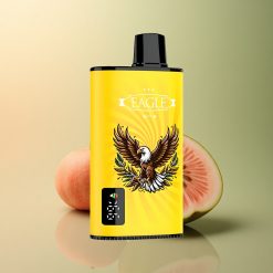 JNR EAGLE Smart 23000 Pêche Mangue Pastèque avec 2% de nicotine et 750mAh