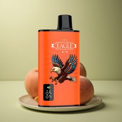 JNR EAGLE Smart 23000 Pêches Juteuses Écran Numérique 750mAh