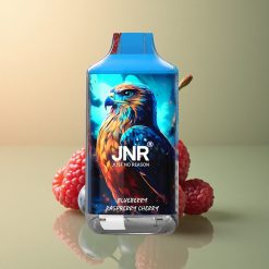 JNR Falcon 16000 Myrtille Framboise Cerise 850 mAh Dual Mesh