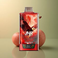 JNR Falcon Pro 28000 Baie Cerise Dual Mesh 950mAh 30ml