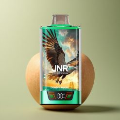 JNR Falcon Pro 28000 Double Pomme 30ml 5% Nicotine 950mAh