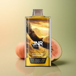 JNR Falcon Pro 28000 Pêche Mangue Pastèque 950mAh Dual Mesh