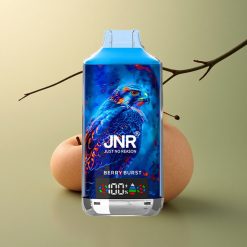 JNR Falcon X 18000 Éclat de Baies 750mAh Dual Mesh