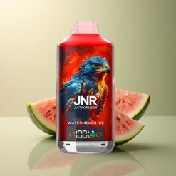 JNR Falcon X 18000 Glace à la Pastèque 750mAh Dual Mesh