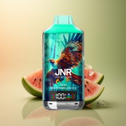 JNR Falcon X 18000 Glace Kiwi Pastèque 750mAh Dual Mesh