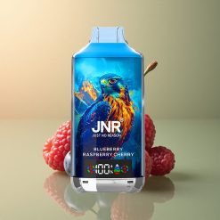 JNR Falcon X 18000 Myrtille Framboise Cerise 750mAh Dual Mesh Coil 5% Nicotine