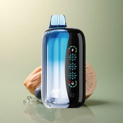 JNR Flex Ice 21000 Glace Myrtille Réglable 1000mAh