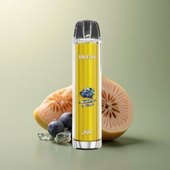 JNR Gold380 6000 Myrtille sur Glace - 13ml, 1500mAh, Nicotine 5%