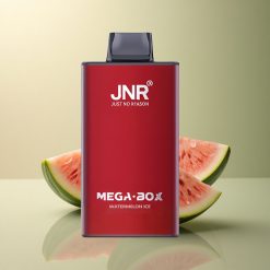 JNR Mega Box 25000 Glace à la Pastèque Dual Mesh 850mAh