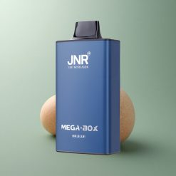 JNR Mega Box 25000 Monsieur Bleu 30ml 850mAh Double Mesh