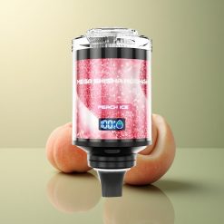 JNR Mega Shisha Hookah 100K Glace Pêche 2200mAh 60ml