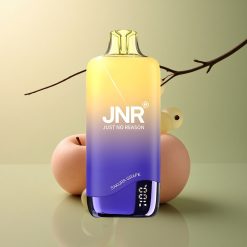 JNR Rainbow 10500 Cerisier Raisin 600mAh 18ml