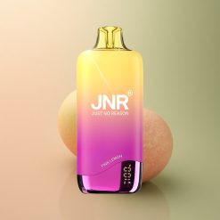 JNR Rainbow 10500 Citron Rose Électrique 600mAh 18ml