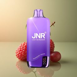JNR Rainbow 10500 Framboise Raisin 600mAh 18ml