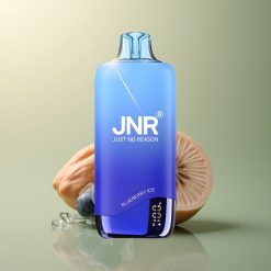 JNR Rainbow 10500 Glace Myrtille 600mAh 18ml