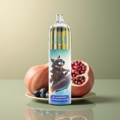 JNR Rocket-X 12400 Myrtille Grenade Réglable Airflow 850mAh