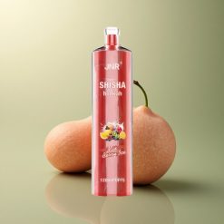 JNR Shisha Hookah 12000 Glace Baie 750mAh 24ml