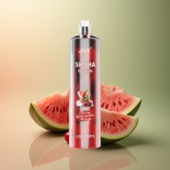 JNR Shisha Hookah 12000 Glacé Cerise Pastèque 750mAh 0% Nicotine