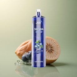 JNR Shisha Hookah 12000 Glace Myrtille 750mAh