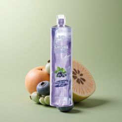 JNR Shisha Hookah 12000 Menthe Myrtille 750mAh