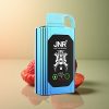 JNR Shisha Hookah Box 20500 Bonbon Fraise Framboise avec 1000mAh et 25ml