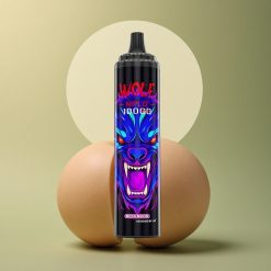JNR Wolf Niplo 10000 Lune Méta 20ml 650mAh Type-C